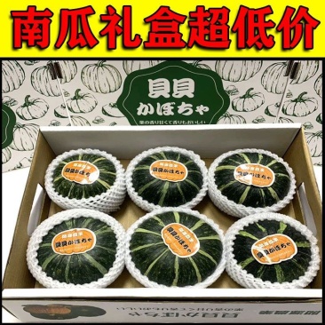 贝贝南瓜日本惠和贝贝板栗南瓜一件代发南瓜