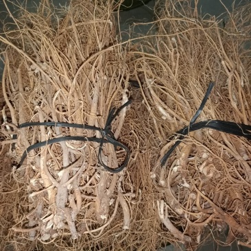野石参根有少量1公包邮量大优惠，无硫，太阳晒干，香味浓郁