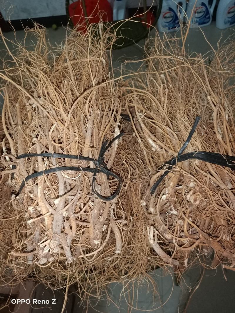 野石参根有少量1公包邮量大优惠，无硫，太阳晒干，香味浓郁