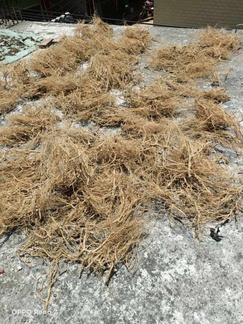 野石参根有少量1公包邮量大优惠，无硫，太阳晒干，香味浓郁