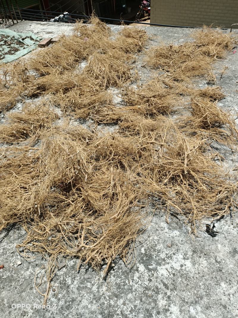 野石参根有少量1公包邮量大优惠，无硫，太阳晒干，香味浓郁
