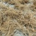 野石参根有少量1公包邮量大优惠，无硫，太阳晒干，香味浓郁