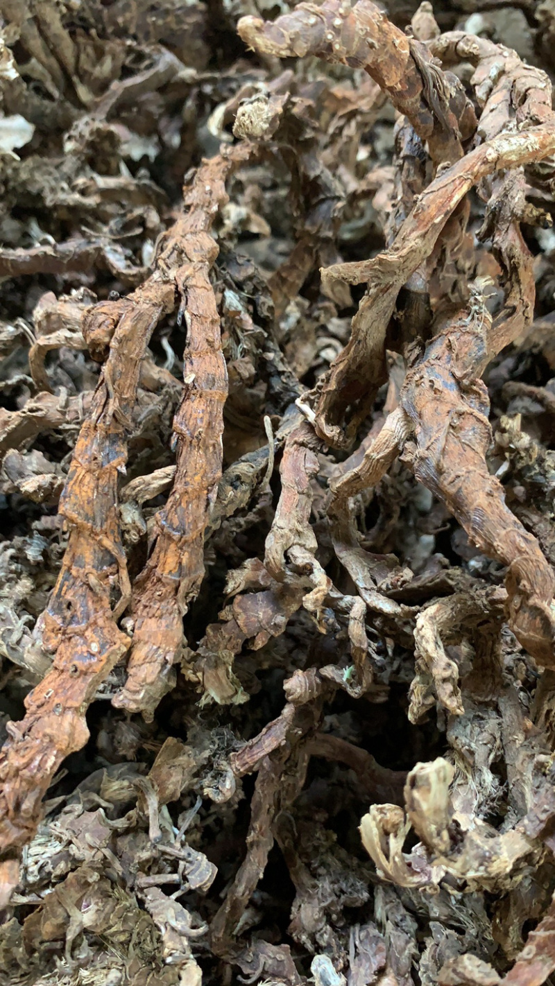 正宗湖南永州道县石菖蒲
