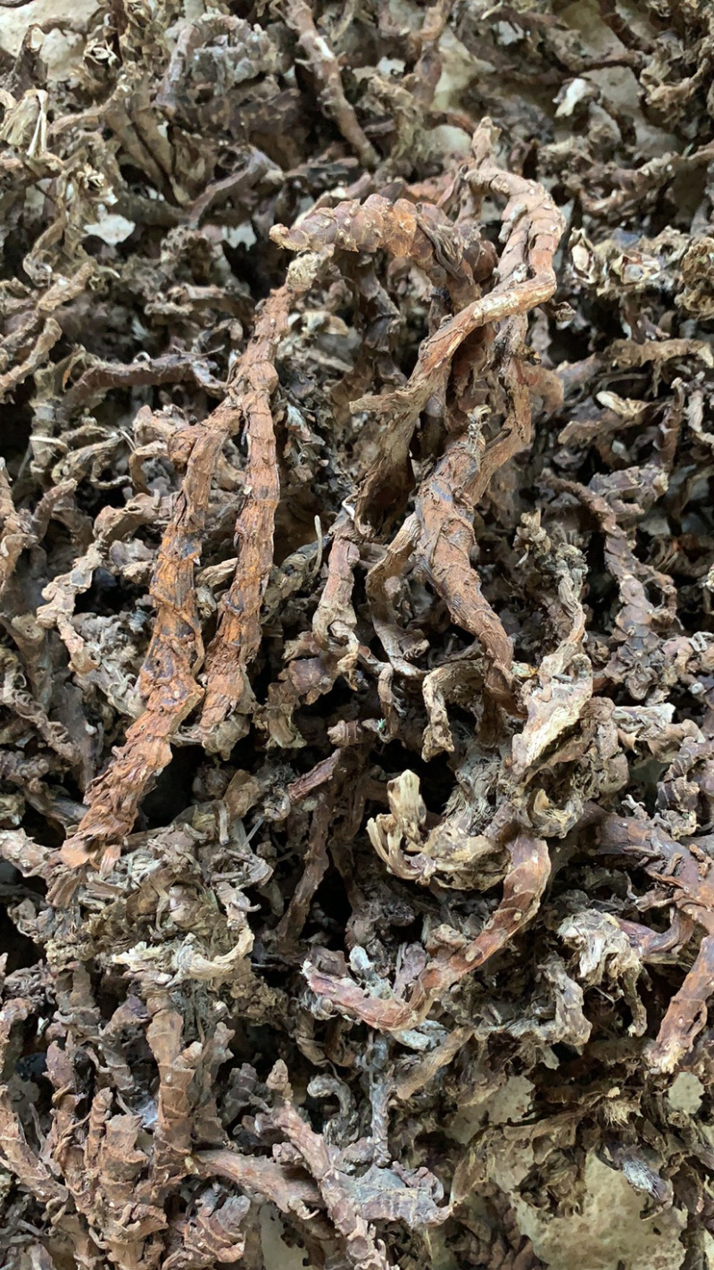 正宗湖南永州道县石菖蒲