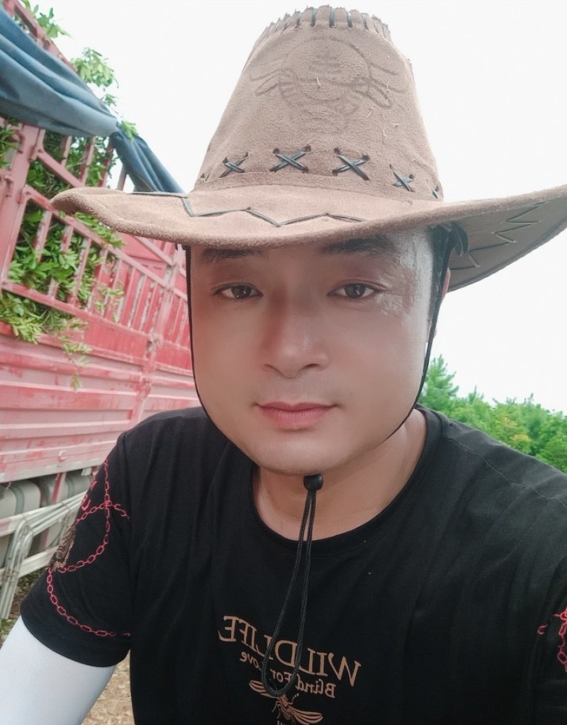 湖南宁益苗木合作社大量供应12至20截杆移植杜英
