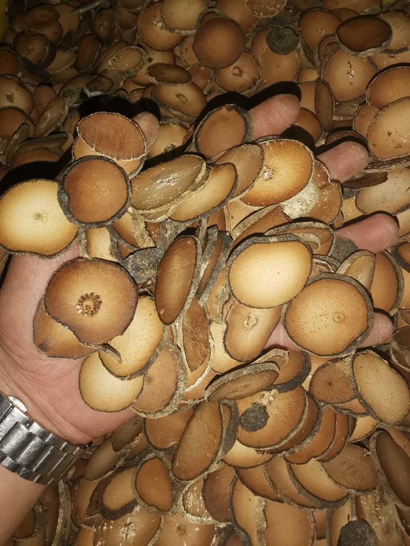 橘红，橘红片。橘红果，压果，连刀果