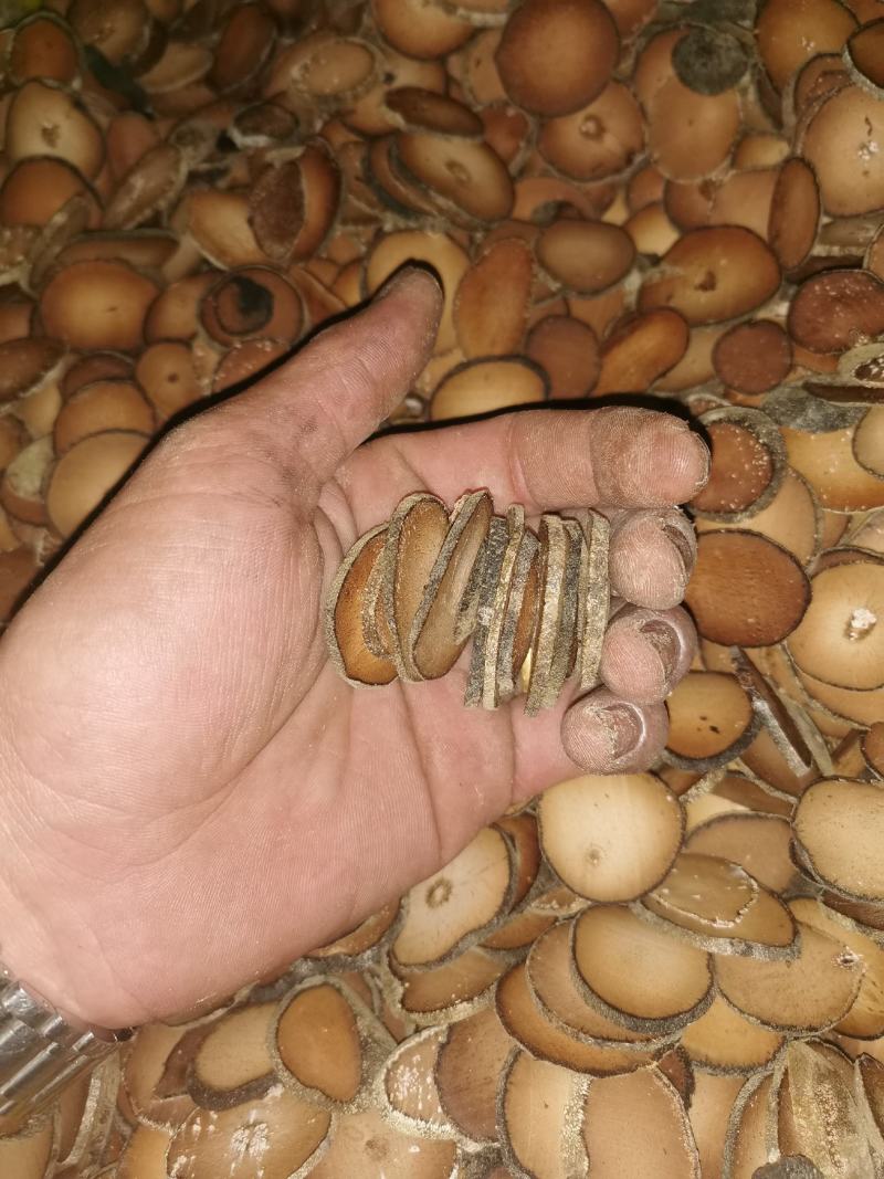 橘红，橘红片。橘红果，压果，连刀果