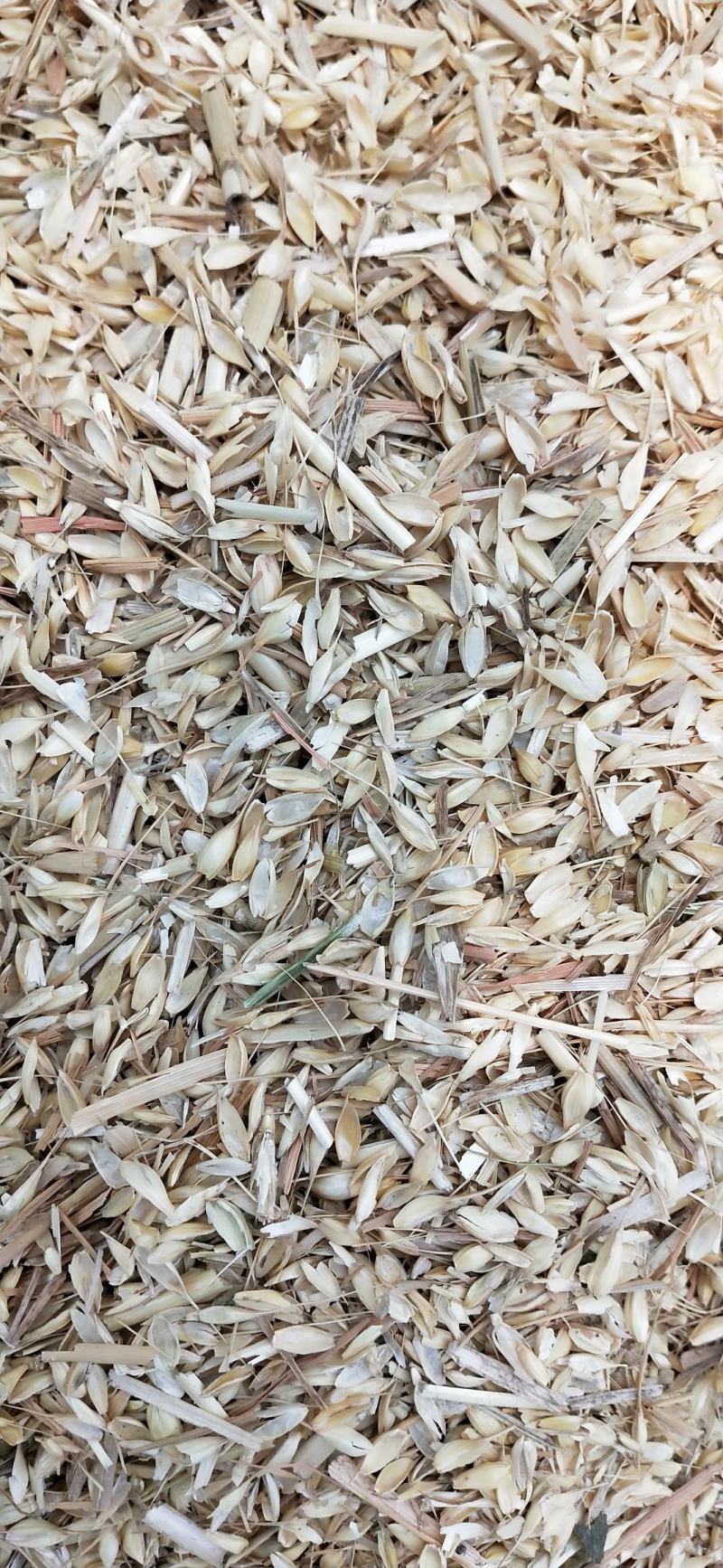 常年大量供应优质养牛专用麦糠