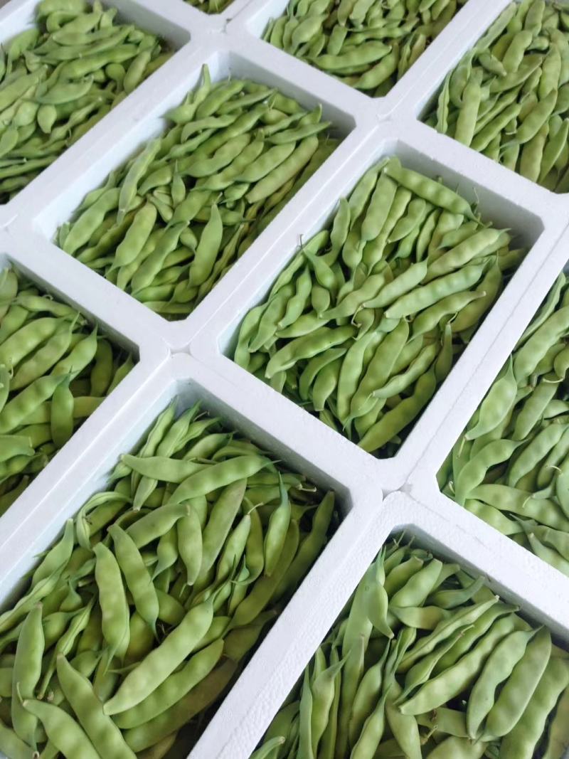 油豆角东北产地豆角一件2000克包邮
