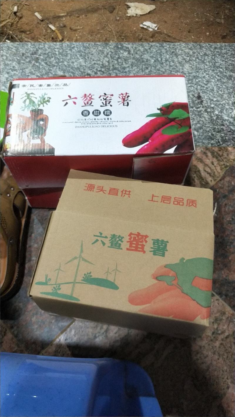 福建漳浦六鳌蜜薯西瓜红小蜜薯，母指薯，大小果红蜜薯