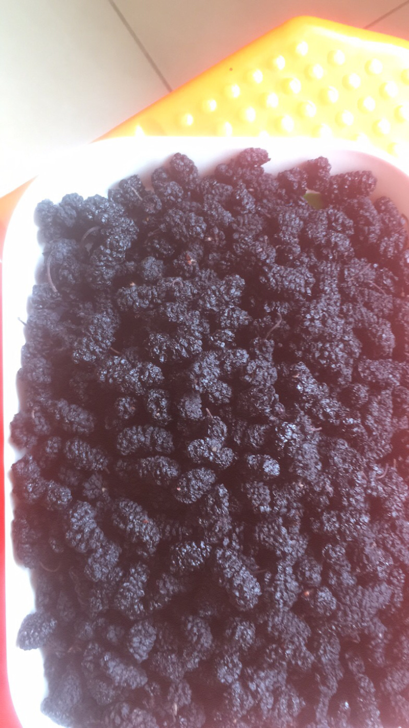 水洗纯绿色食品黑珍珠桑椹干