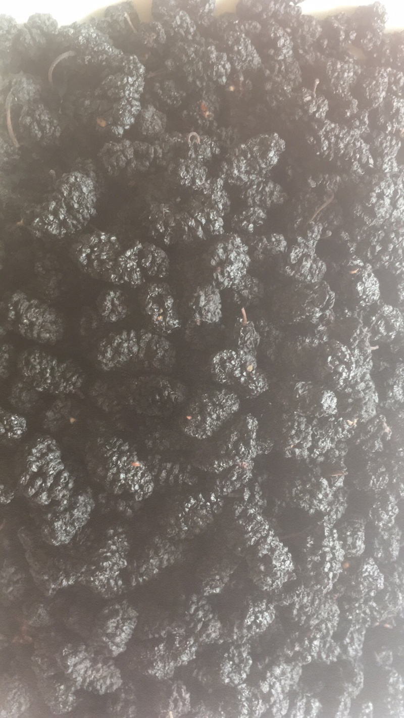 水洗纯绿色食品黑珍珠桑椹干