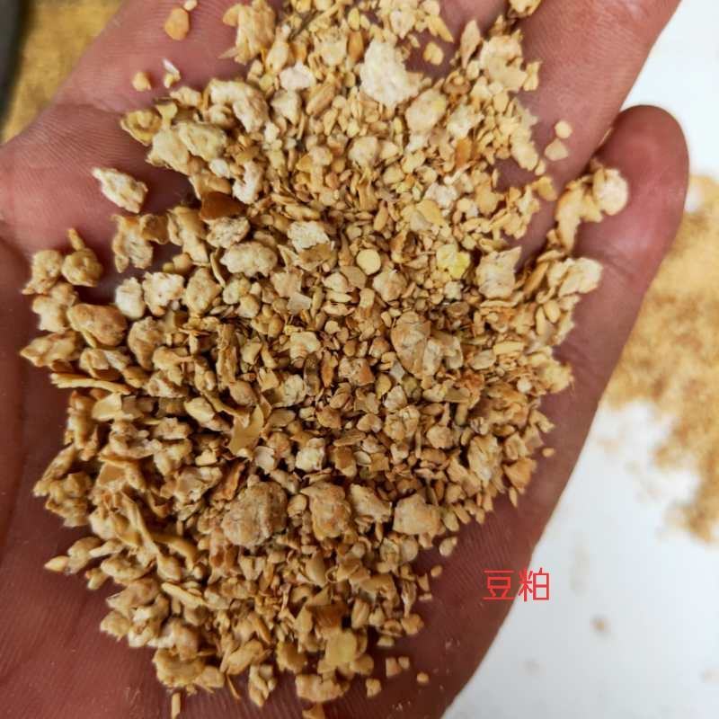 厂家直发豆粕大豆粕牛羊猪鸡鸭鹅育肥专用饲料