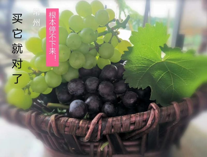 夏黑葡萄，大量上市，颗粒大，口感好