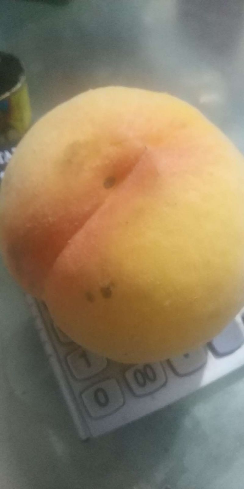 黄桃！纯甜102！大个头黄桃新品种！需要的老板抓紧联系了