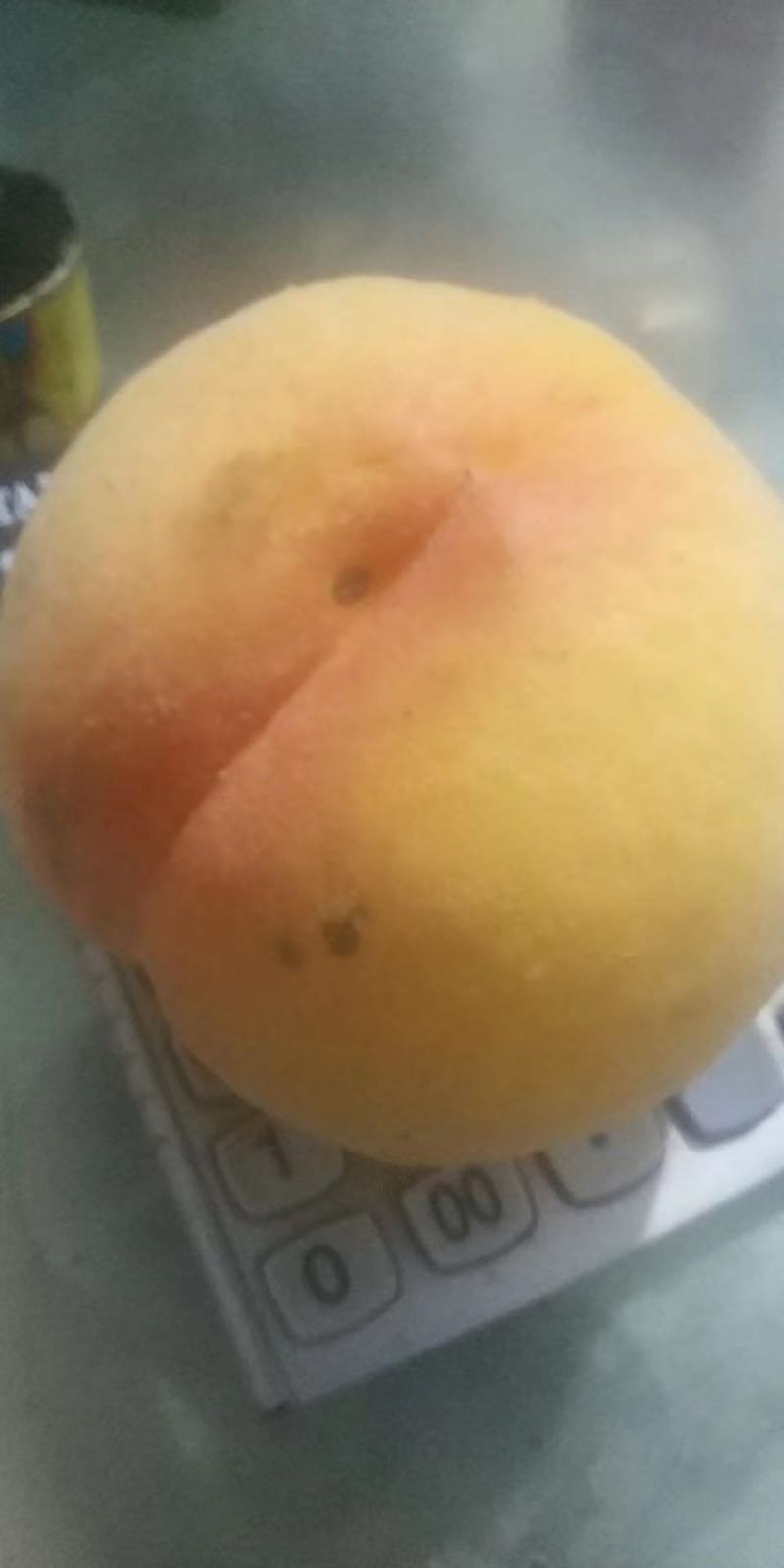 黄桃！纯甜102！大个头黄桃新品种！需要的老板抓紧联系了