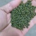 2022年《广西品种中花吴茱萸》新货上市