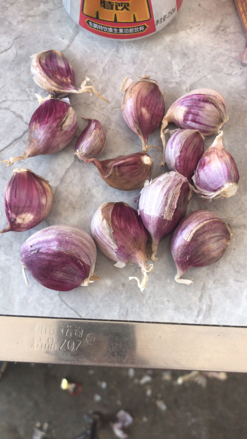 云南红皮大蒜，多掰蒜，独头蒜