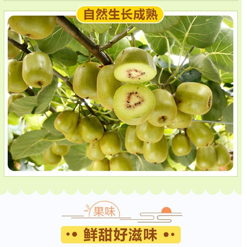 【一件代发】【包邮包赔】四川浦江红心猕猴桃原产地发货！
