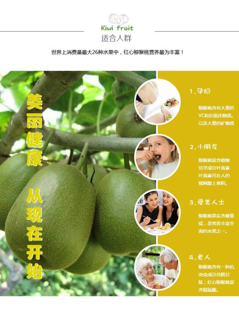 【一件代发】【包邮包赔】四川浦江红心猕猴桃原产地发货！