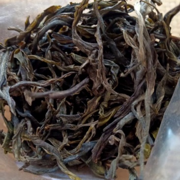 古树茶