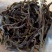古树茶