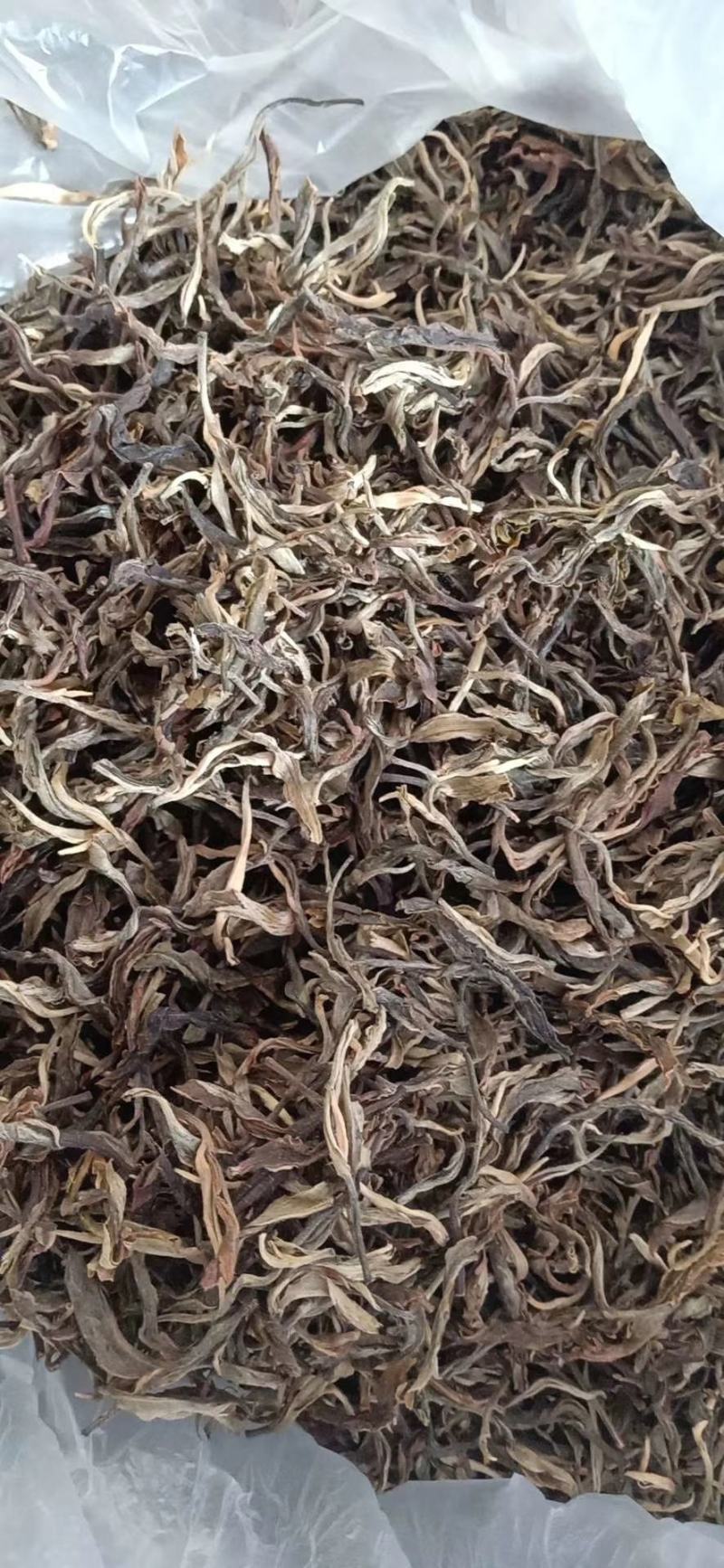 古树茶