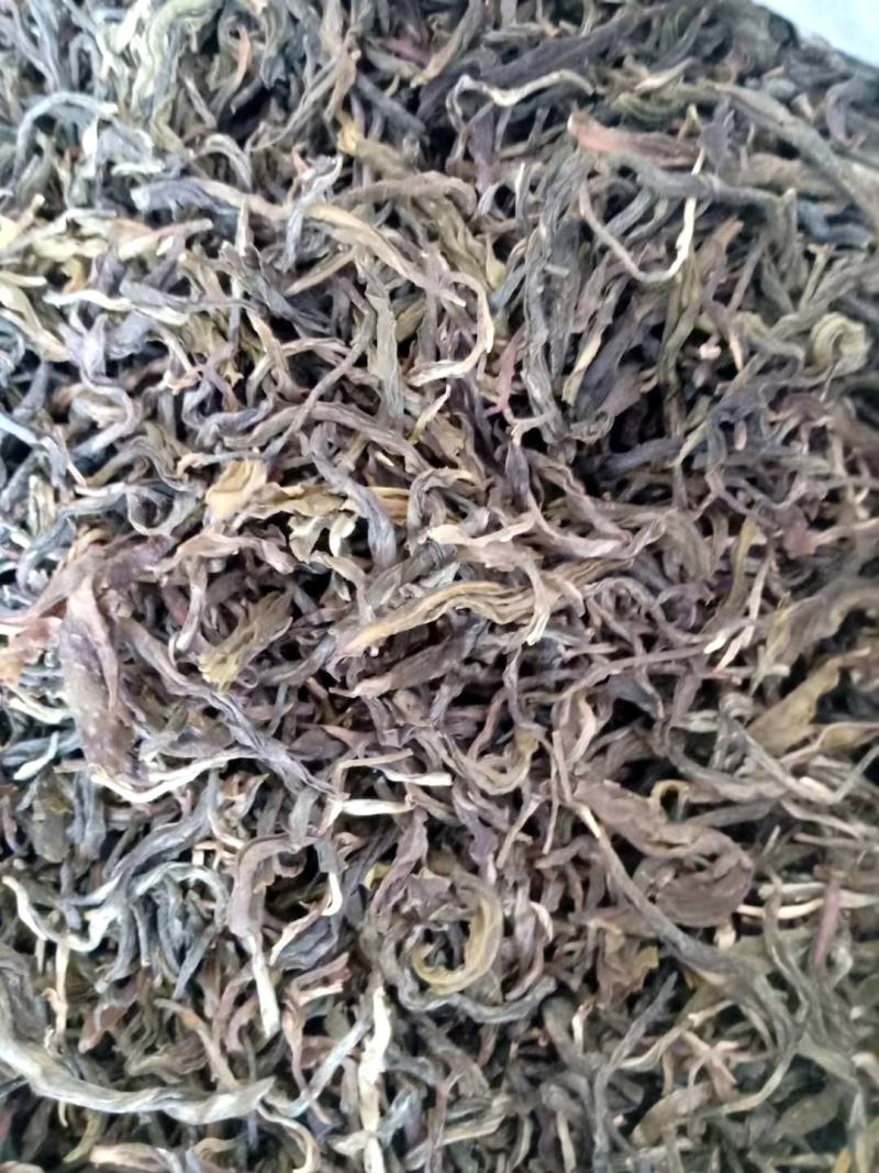 古树茶