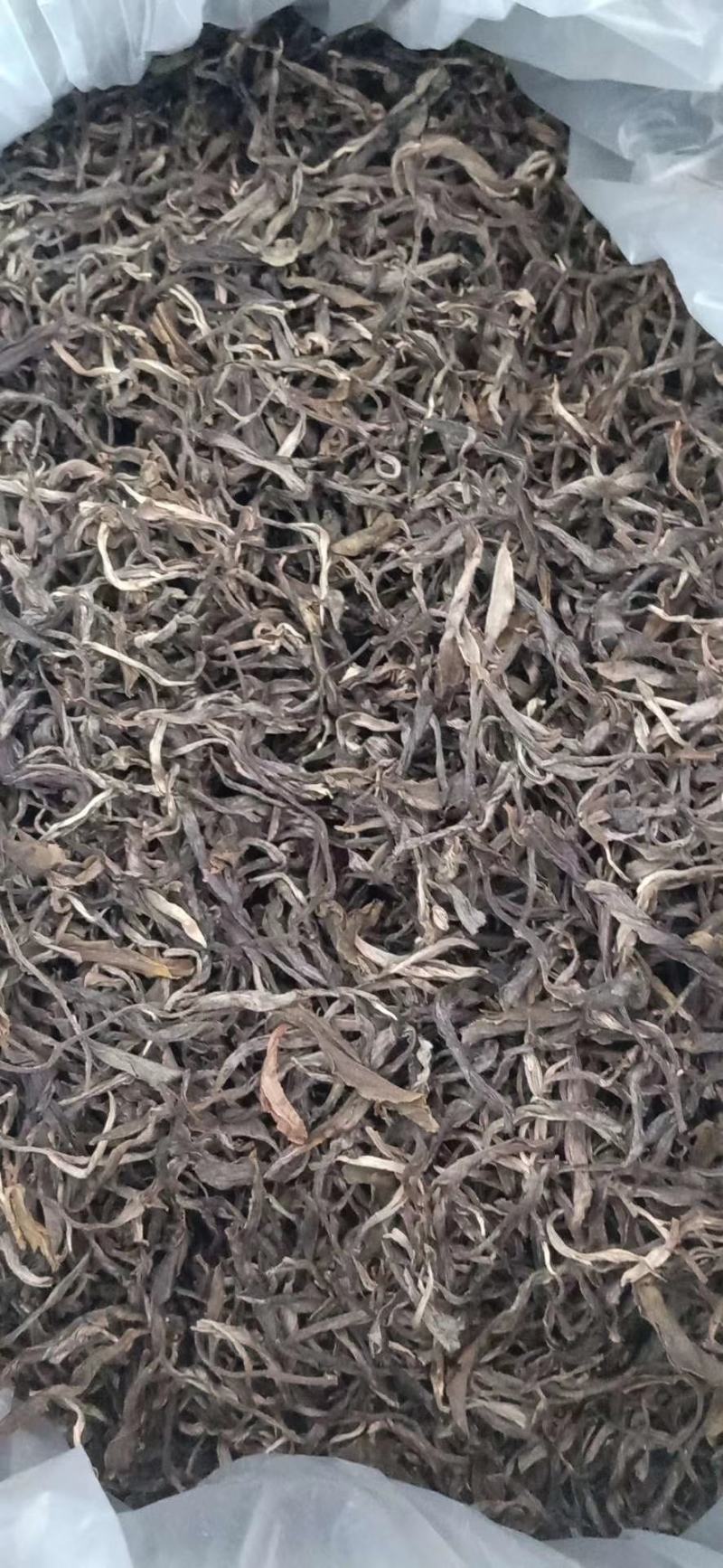 古树茶