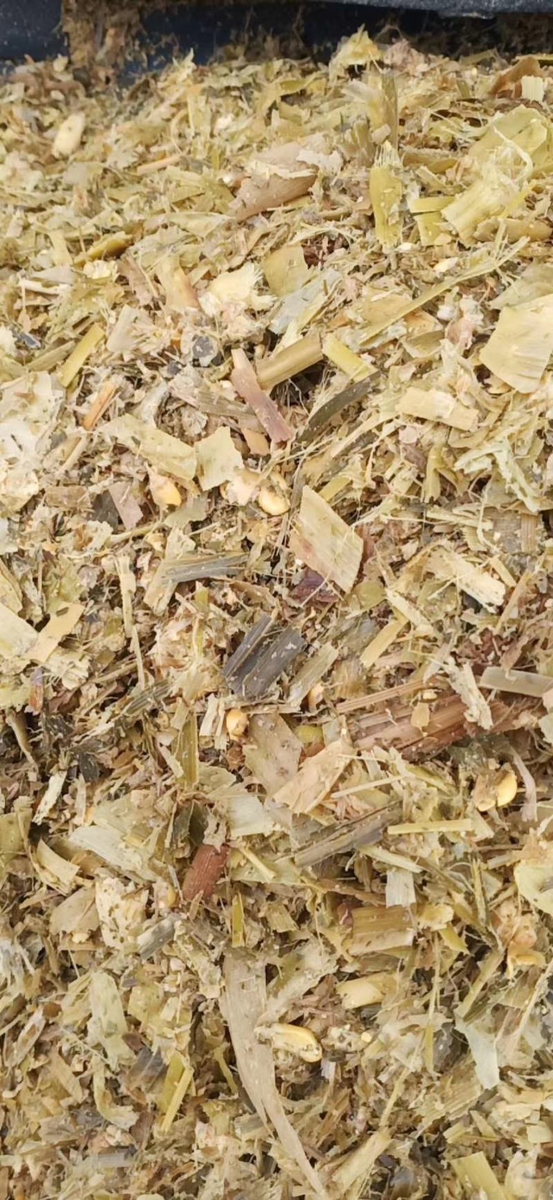 全株玉米秸秆青储打包压块，