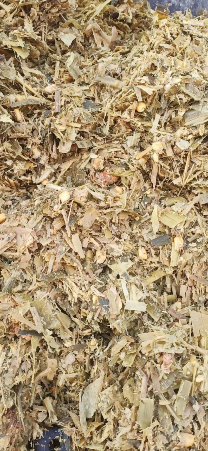 全株玉米秸秆青储打包压块，