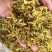 云南铁皮石斛花石斛枫斗批发