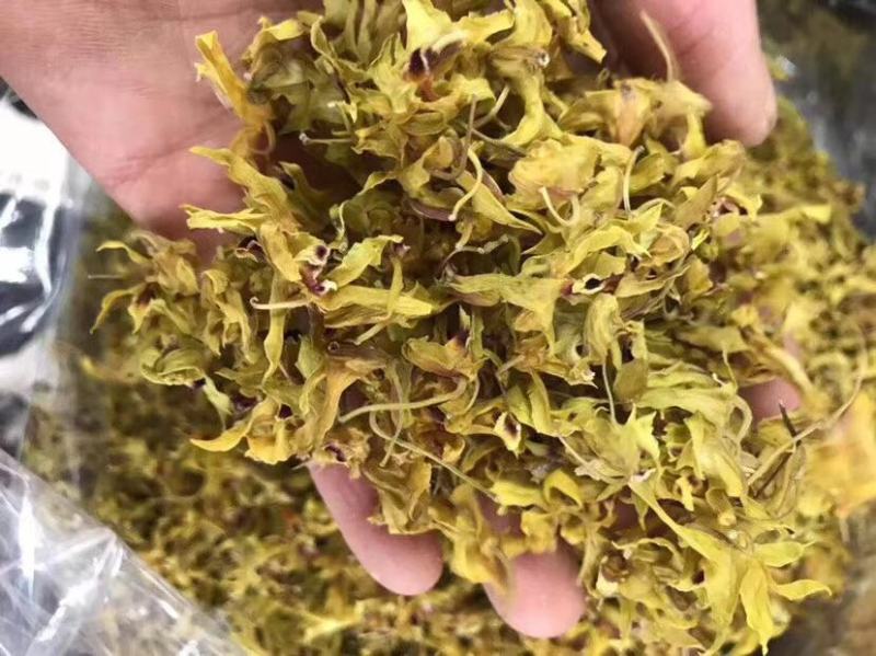 云南铁皮石斛花石斛枫斗批发