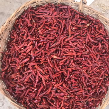 自己家烘干的小米椒，十成干，质量保证