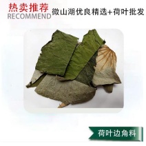 微山湖荷叶中药饮片荷叶丝荷叶块荷叶边角料荷叶打粉袋泡茶专