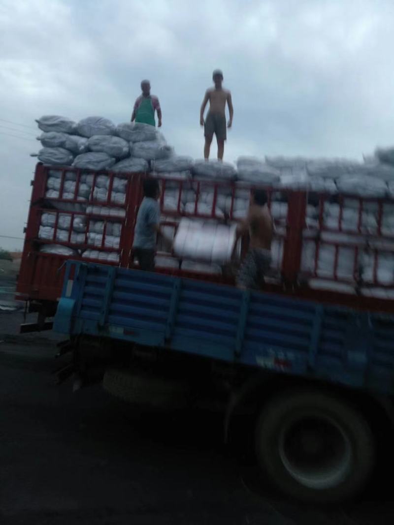 微山湖荷叶中药饮片荷叶丝荷叶块荷叶边角料荷叶打粉袋泡茶专