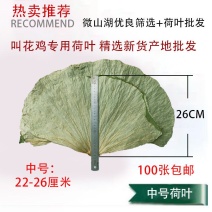 中号整张荷叶精品微山湖整张干荷叶特价做荷叶饭叫花鸡糯