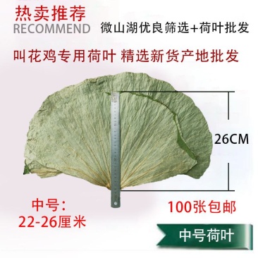 中号整张荷叶精品微山湖整张干荷叶特价包邮做荷叶饭叫花鸡糯