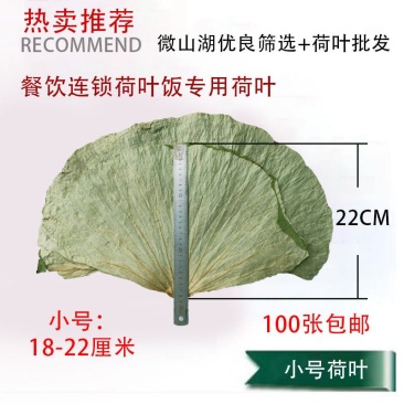 小号整张荷叶微山湖精选优质整张干荷叶做荷叶饭叫花鸡糯米鸡