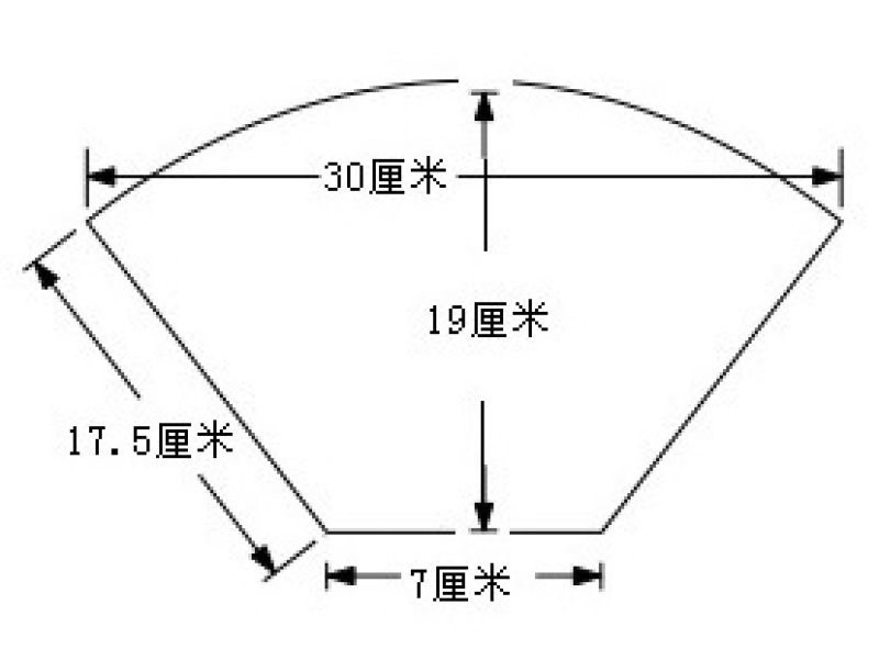 山东微山湖荷叶切片扇形裁片高19厘米宽30厘米食品厂包荷