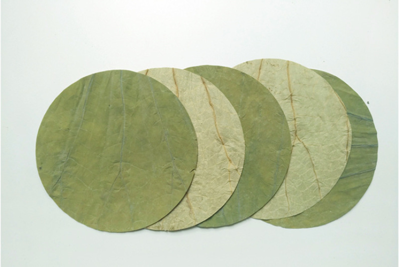 精选干荷叶切片荷叶垫片圆形直径20厘米做荷叶饭笼仔饭木桶