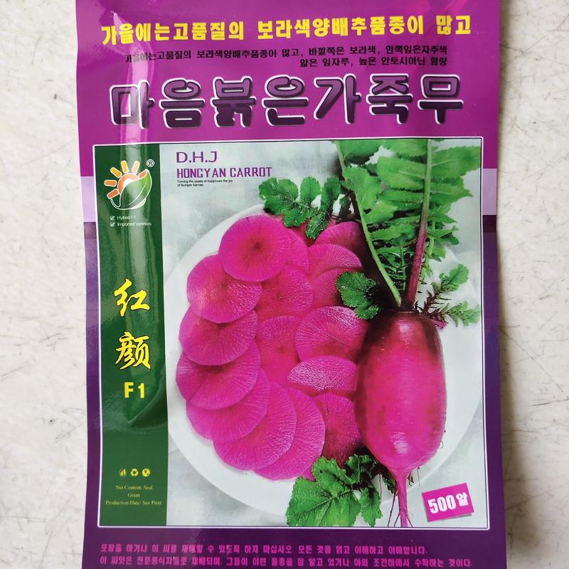 韩国引进红颜知己萝卜种子红皮红心水萝卜种籽高产抗病春秋四