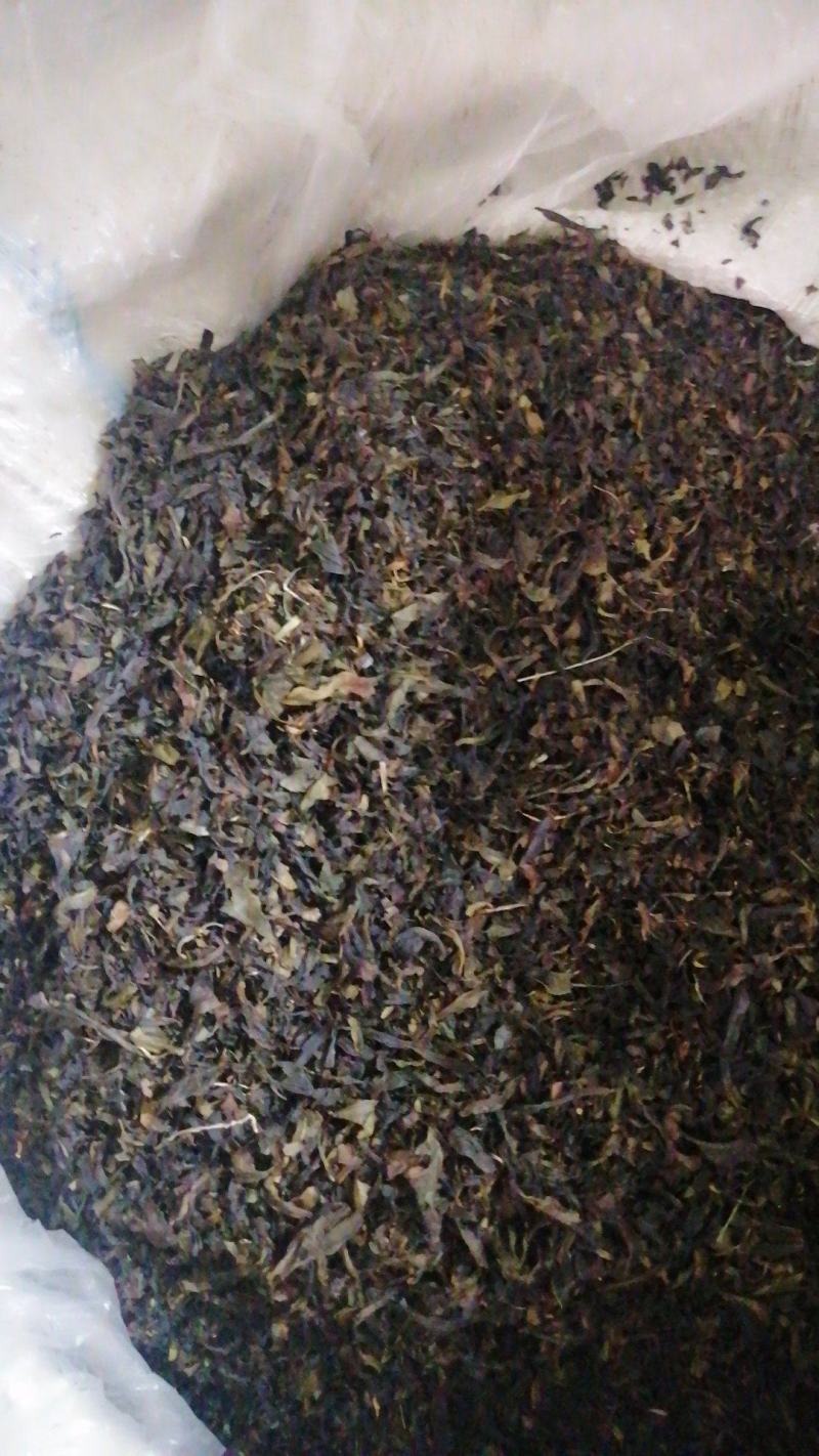 武夷岩茶片，茶沫，茶梗