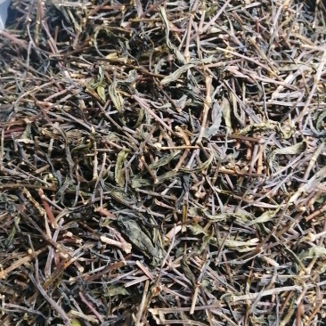 武夷岩茶片，茶沫，茶梗