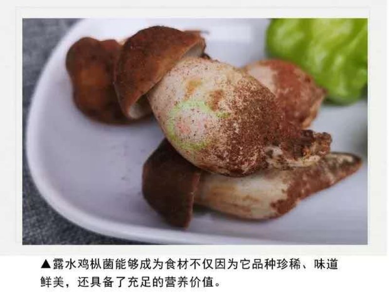 【露水鸡枞菌云南特有】过季不再有舌尖上的美味你有缘碰到吗