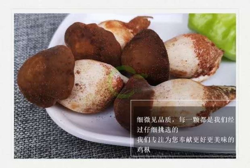 【露水鸡枞菌云南特有】过季不再有舌尖上的美味你有缘碰到吗