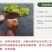 【露水鸡枞菌云南特有】过季不再有舌尖上的美味你有缘碰到吗