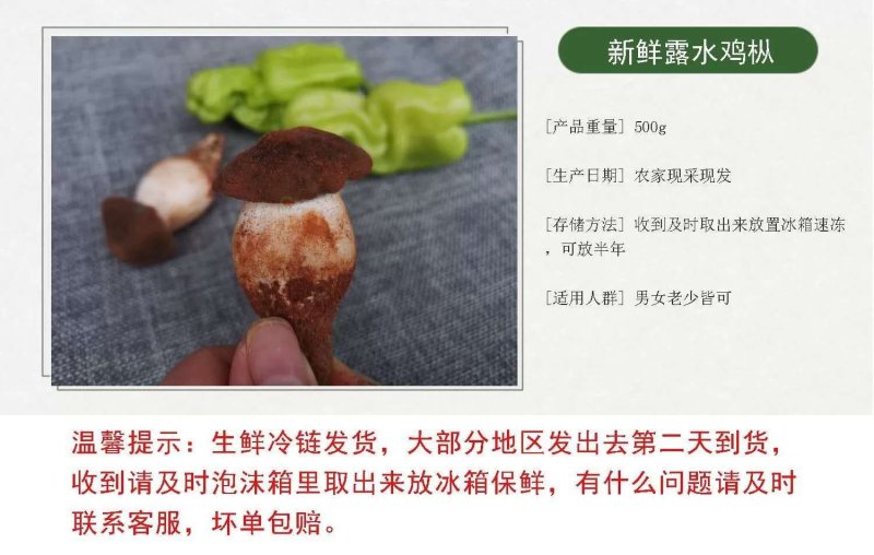 【露水鸡枞菌云南特有】过季不再有舌尖上的美味你有缘碰到吗