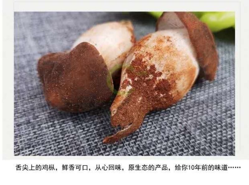【露水鸡枞菌云南特有】过季不再有舌尖上的美味你有缘碰到吗