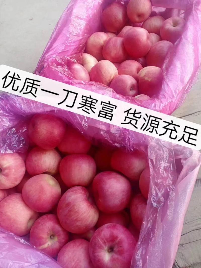 苹果寒富国光富士黄元帅各种水果大量上市中欢迎新老客户前来